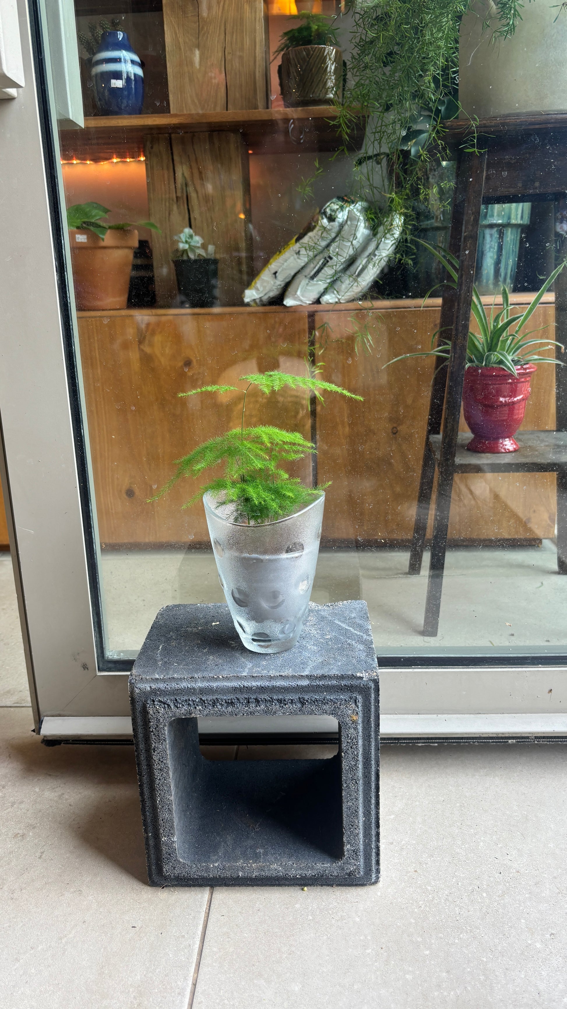 8 AVRIL 2026 - Faire son cache pot en céramique et choisir sa plante - 18h30 à 2Oh