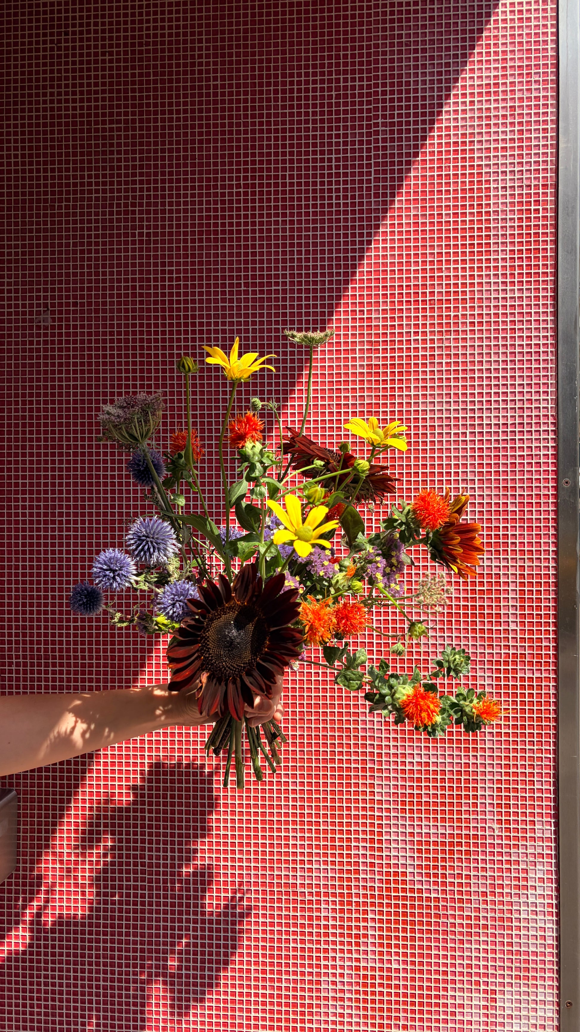 Mezcla - Le bouquet mélangé - S/M/L